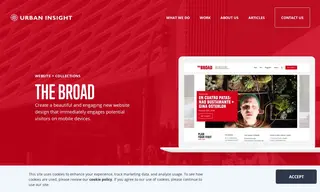 Preview of the The Broad Case Study