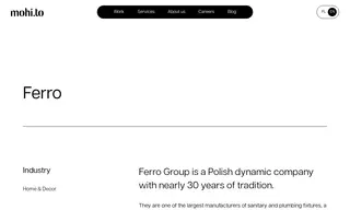 Preview of the Ferro Group Case Study