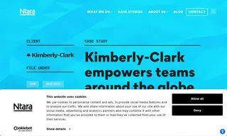 Preview of the Kimberly-Clark Case Study