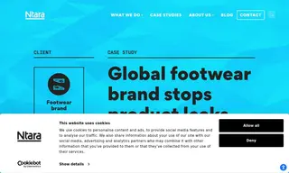 Preview of the Global Footwear Brand Case Study