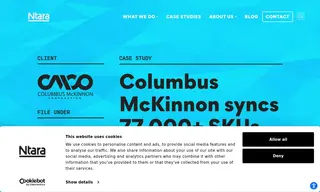 Preview of the Columbus McKinnon Case Study