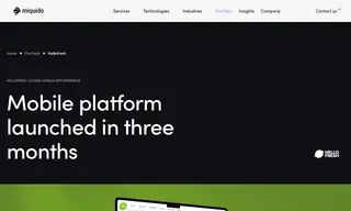 Preview of the HelloFresh Case Study