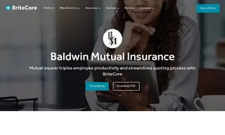 Preview of the Baldwin Mutual Insurance Case Study