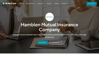 Preview of the Hamblen Mutual Insurance Company Case Study