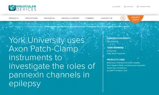 Preview of the York University Case Study