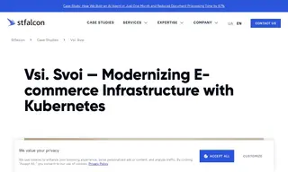 Preview of the Vsi. Svoi Case Study