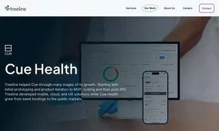 Preview of the Cue Health Case Study