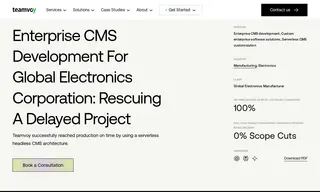 Preview of the Global Electronics Manufacturer Case Study