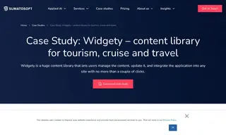 Preview of the Widgety Case Study
