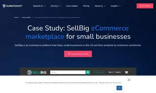 Preview of the SellBig Case Study