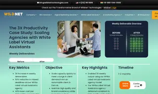 Preview of the Automobile Client Case Study