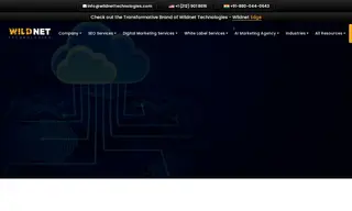 Preview of the Udemy Case Study