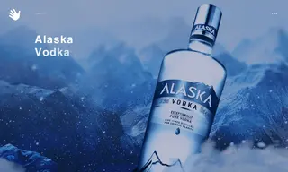 Preview of the Alaska Vodka Case Study