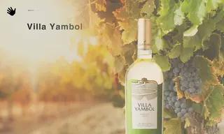 Preview of the Villa Yambol Case Study