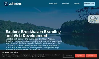 Preview of the Brookhaven Case Study