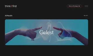 Preview of the Gelest Inc. Case Study