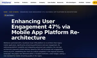 Preview of the Mid-sized Video-on-demand (vod) Platform Case Study
