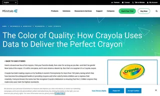 Preview of the Crayola Case Study