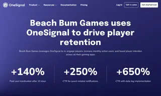 Preview of the Beach Bum Case Study