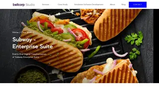 Preview of the Subway Case Study