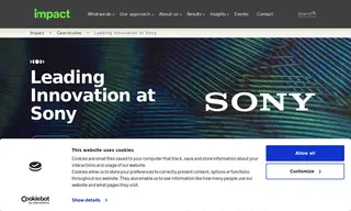 Preview of the Sony Case Study