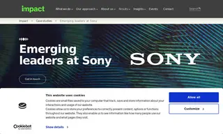 Preview of the Sony Case Study