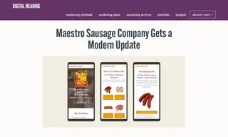 Preview of the Maestro Sausage Company Case Study