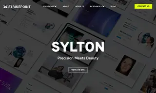 Preview of the Sylton Case Study