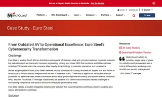 Preview of the Euro Steel Case Study