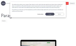 Preview of the Paragon Laboratories Case Study