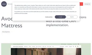 Preview of the Avocado Green Mattress Case Study