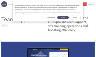 Preview of the TeamSupport Case Study