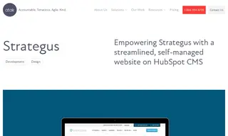 Preview of the Strategus Case Study