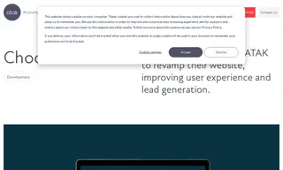 Preview of the Choozle Case Study