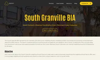 Preview of the South Granville BIA Case Study