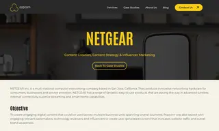 Preview of the NETGEAR Case Study