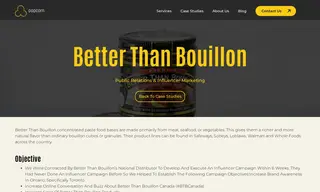 Preview of the Better Than Bouillon Case Study