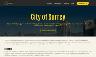 Preview of the City of Surrey Case Study