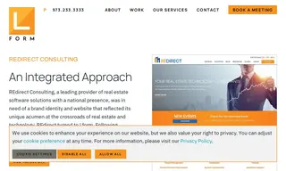 Preview of the REdirect Consulting Case Study
