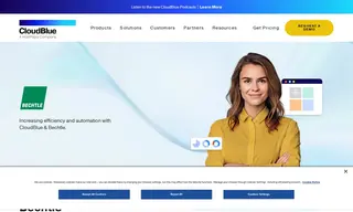 Preview of the Bechtle AG Case Study