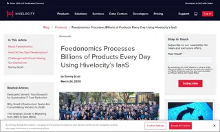 Preview of the Feedonomics Case Study