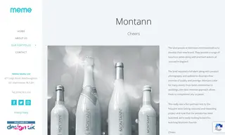 Preview of the Montann Case Study