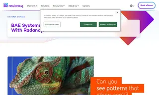 Preview of the BAE Systems Applied Intelligence Case Study