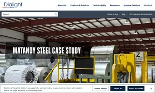 Preview of the Matandy Steel Case Study