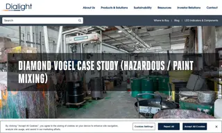 Preview of the Diamond Vogel Case Study