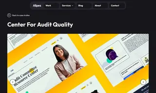 Preview of the Center for Audit Quality Case Study