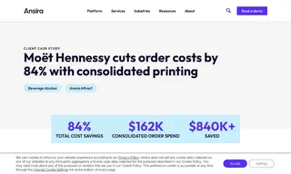 Preview of the Moët Hennessy Case Study