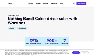 Preview of the Nothing Bundt Cakes Case Study