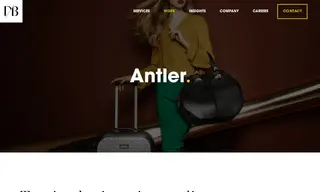 Preview of the Antler Case Study