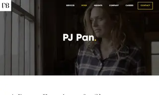 Preview of the PJ Pan Case Study